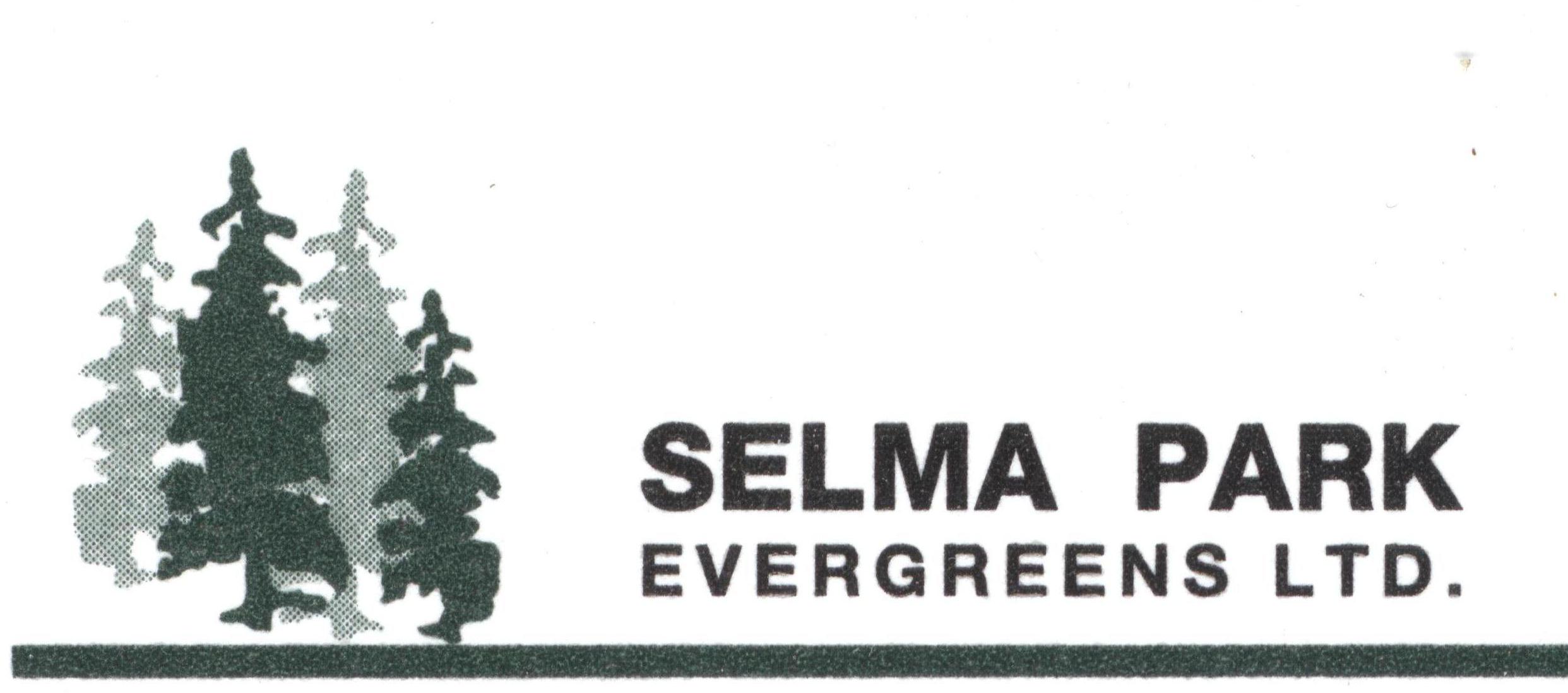 Selma Park Evergreens